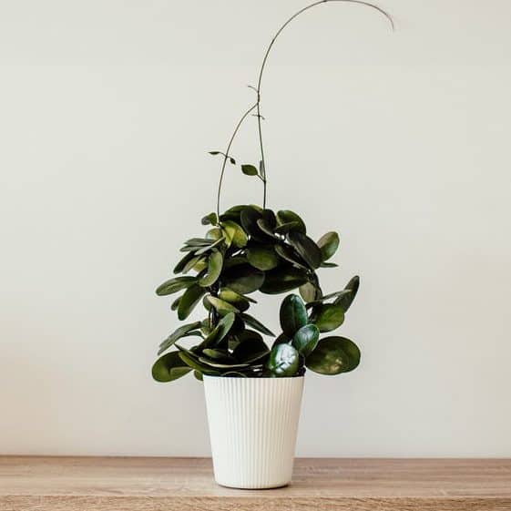 80 Frugal Green Living Tips For A Sustainable 2023