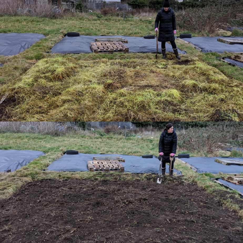 Our Allotment