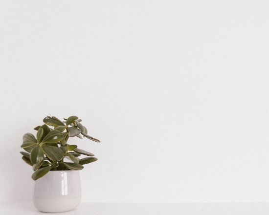 Minimalism