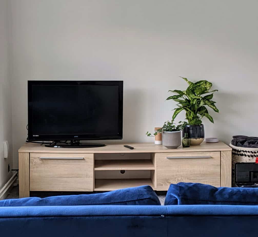 TV Unit with a TV and houseplants, plus the top of a blue velvet sofa in the foreground for living room ideas on a budget.