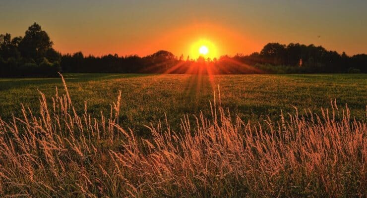 sunrise | early morning jobs