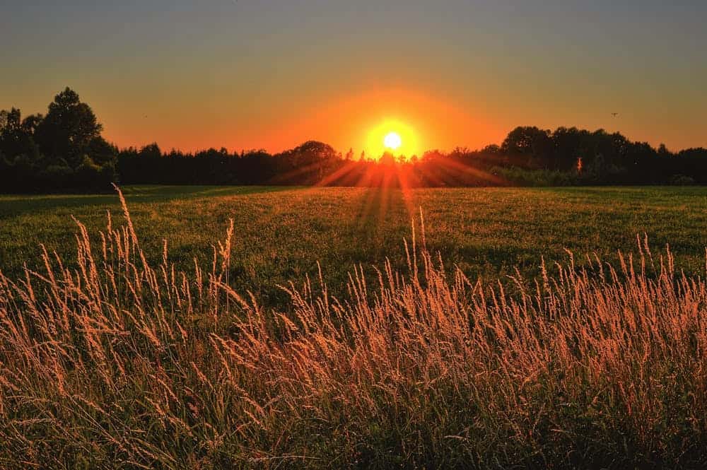 sunrise | early morning jobs