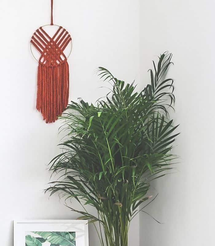 DIY Macrame Wall Hanging For Beginners