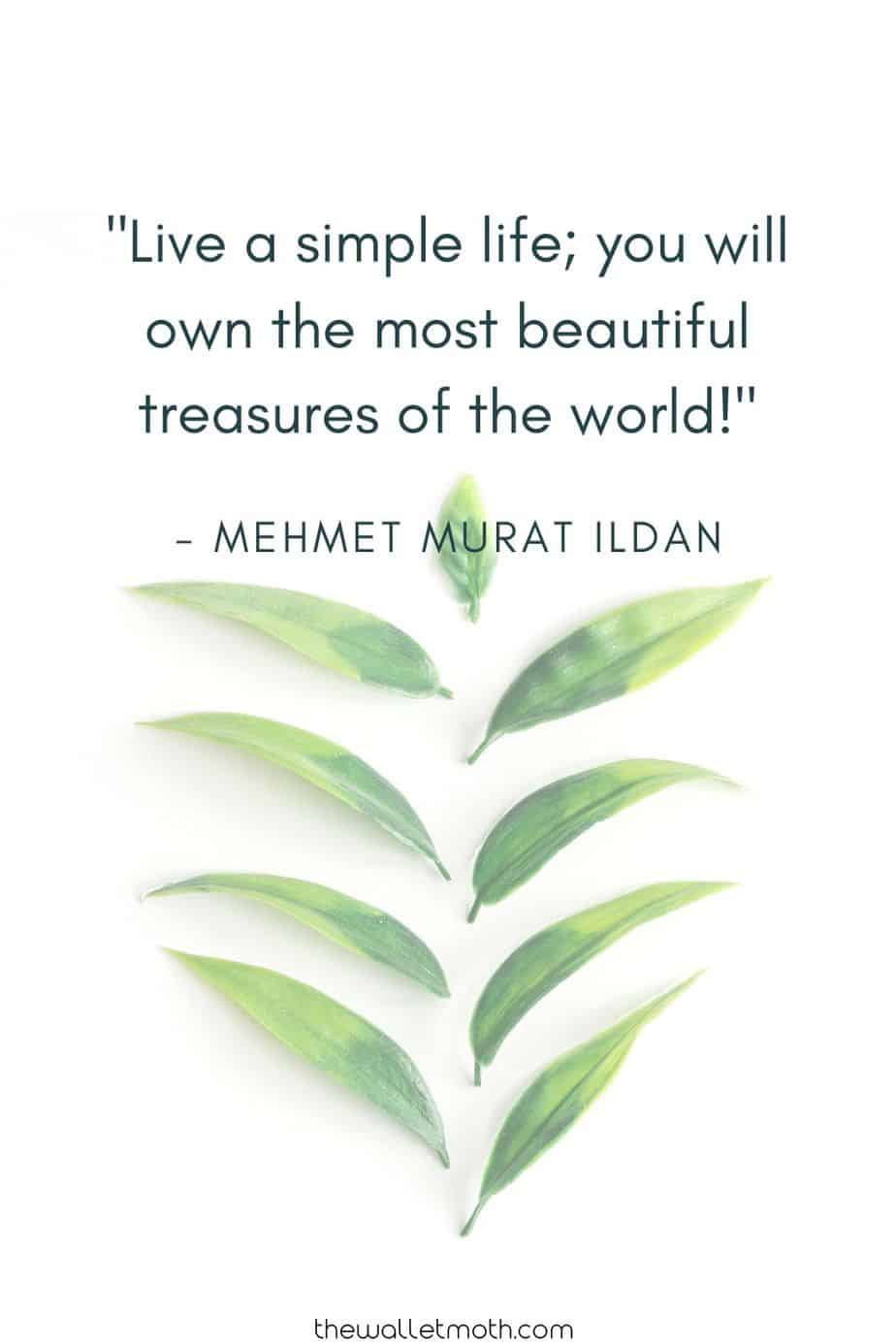  "Live a simple life; you will own the most beautiful treasures of the world!" - Mehmet Murat Ildan