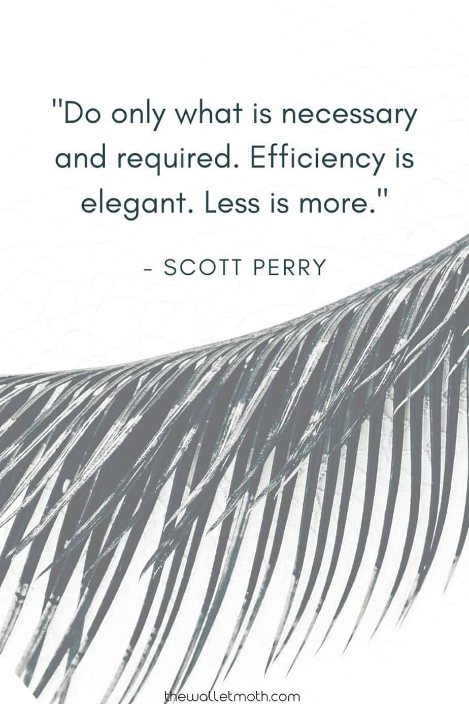 "DO ONLY WHAT IS NECESSARY AND REQUIRED. EFFICIENCY IS ELEGANT. LESS IS MORE." - SCOTT PERRY. Simple Living Quote