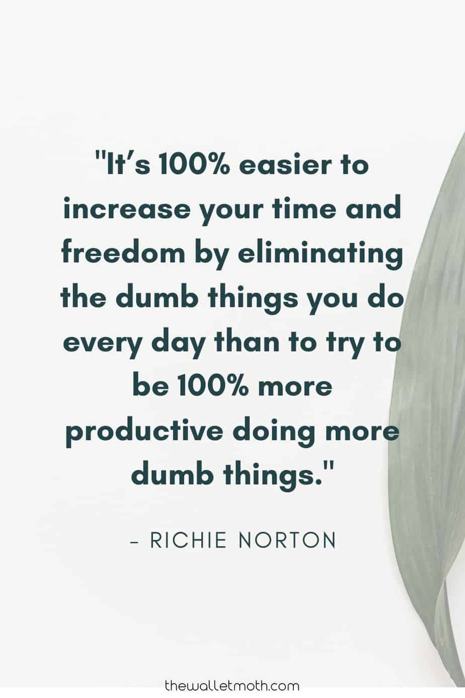 "It's 100% easier to increase your time and freedom by eliminating the dumb things you do every day than to try to be 100% more productive doing more dumb things." - Richie Norton