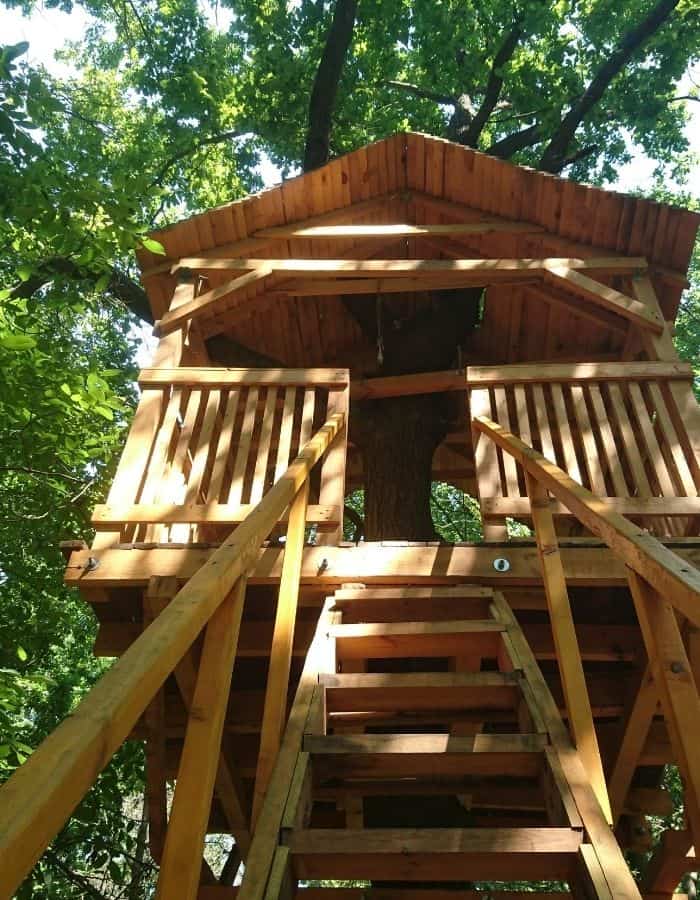 alternative living options: tree house