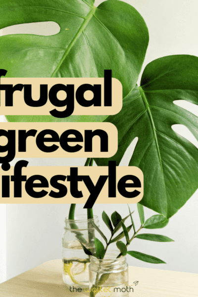 how to live a frugal green lifstyle text overlays a background of a green monstera plant cutting