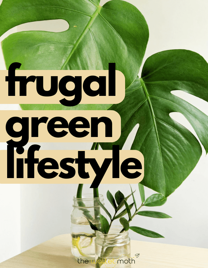 how to live a frugal green lifstyle text overlays a background of a green monstera plant cutting