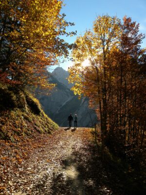 Couple walking in the woods together